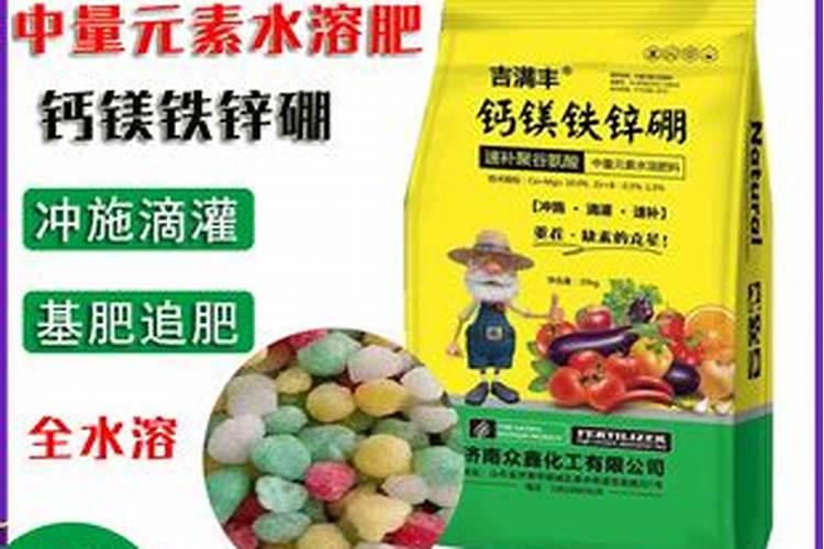 兰花如何用硼肥