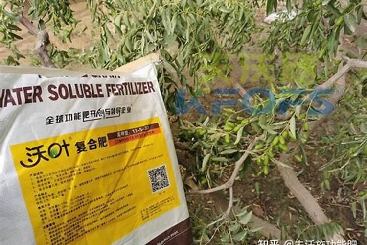 水溶肥高钾型和平衡型的区别