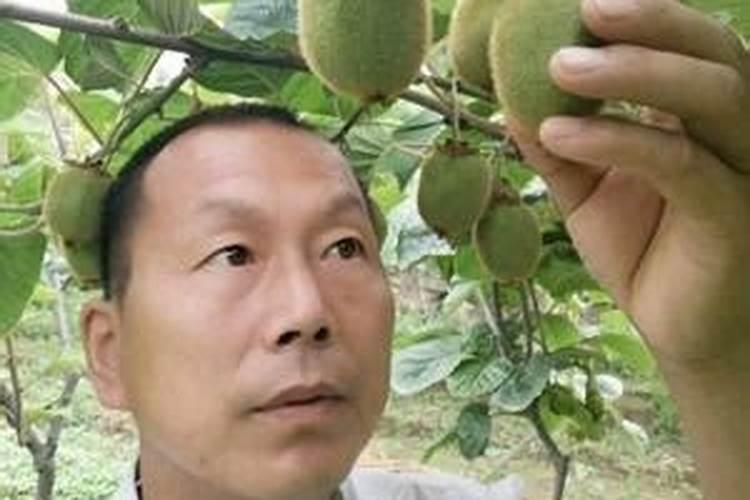 卓创资讯化肥网官网卓创资讯网简介