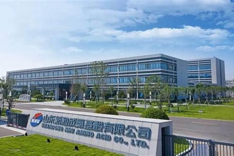 国内氨基酸水溶肥生产厂家有哪些？