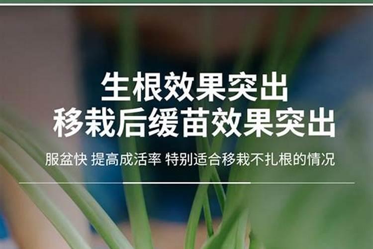 请问老师葡萄怎样施肥