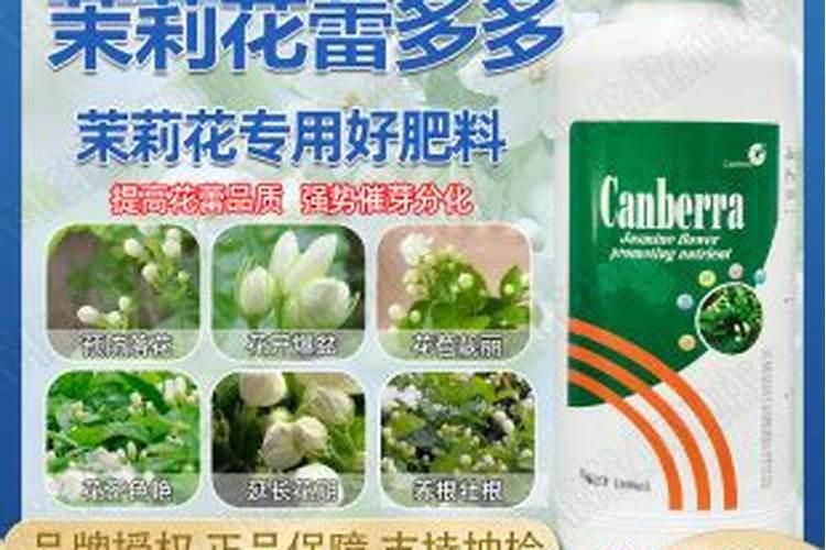 茉莉花施什么肥 茉莉花用哪种肥