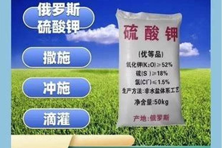 种菜用什么肥料最好