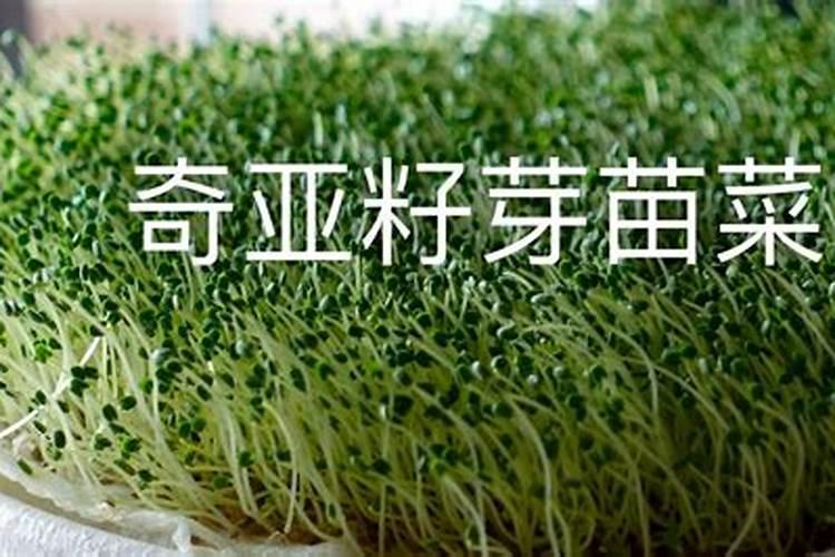 磷酸二氢钾能和复合肥混合施用吗？