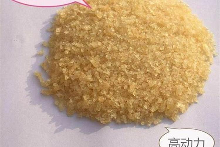 桃花在什么时候开花 哪个季节桃花开花