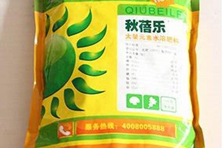 红糖是和黄糖一样吗