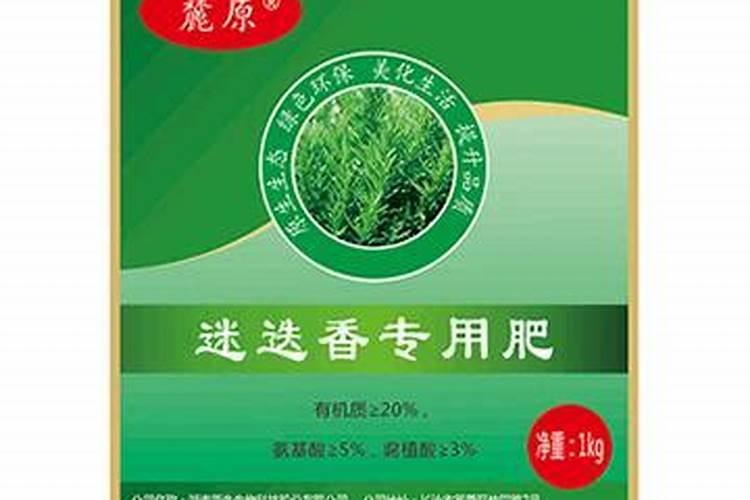 迷迭香怎么施肥,详解迷迭香施肥步骤