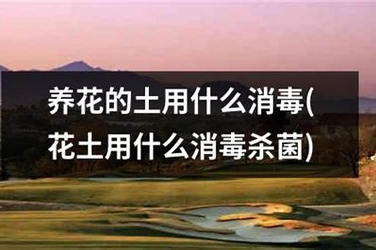 氮磷钾的肥料有哪些
