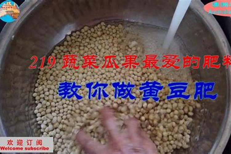黄豆泡水是什么肥多久可以浇花