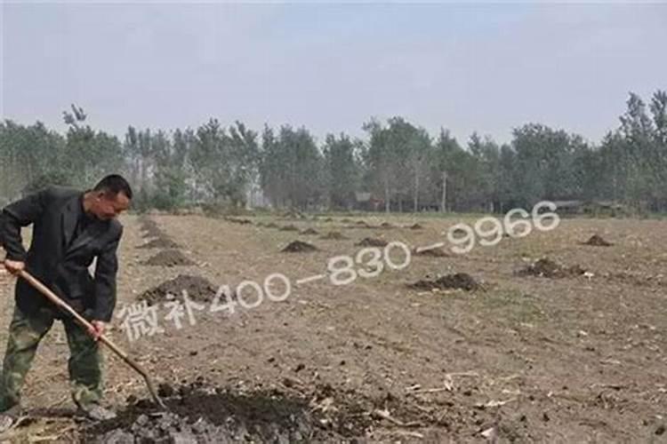 酸性土壤改良方法用什么肥