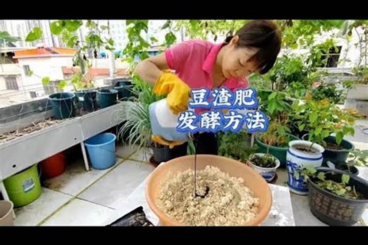 豆饼肥怎么发酵快
