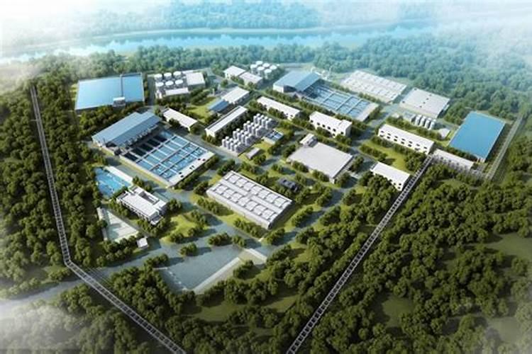 果树冲施肥造成的中毒有哪些类型？