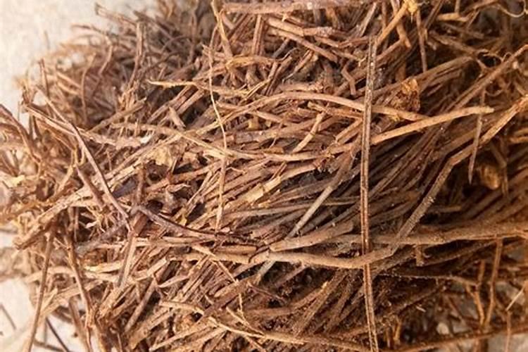 种白菜用什么肥料最好