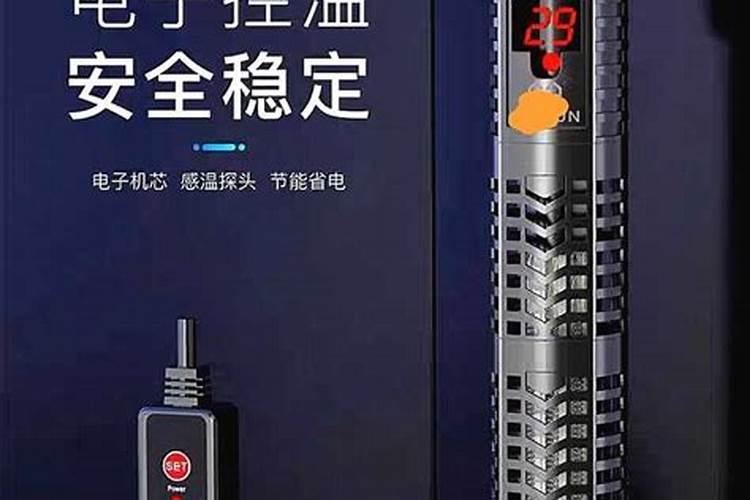 鱼缸里有棉絮状的白毛是什么原因呢？