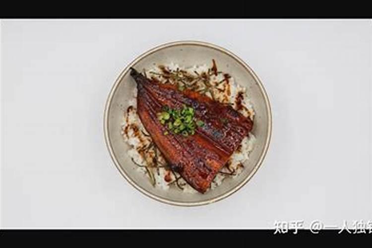 鱼缸里全是白色毛絮