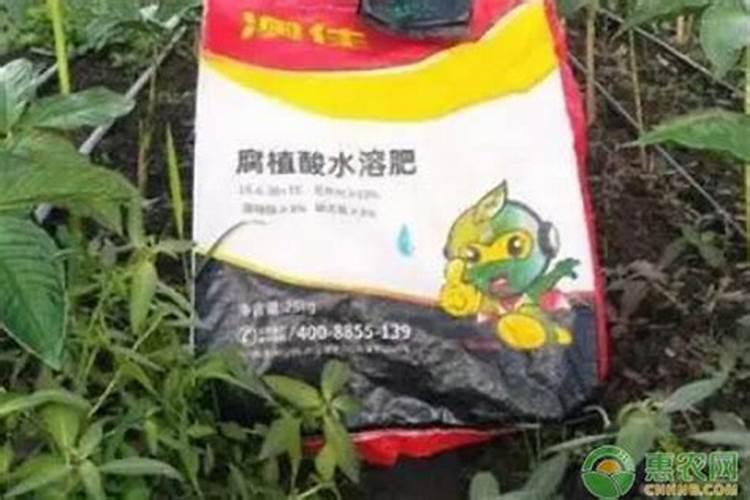 含硼的农家肥料有哪些