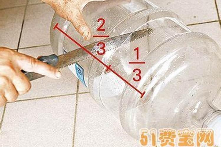 绿萝施什么肥好