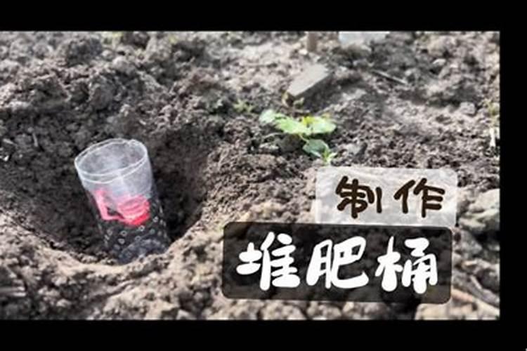 复合肥怎么浇花