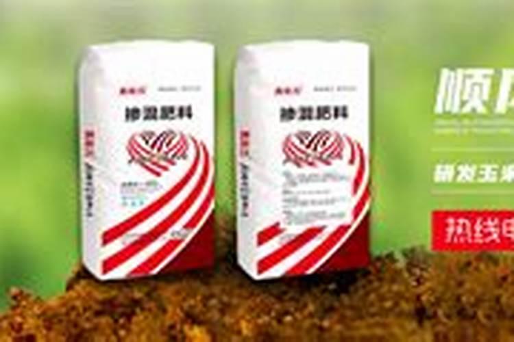 山东叶箭生物科技有限公司怎么样？