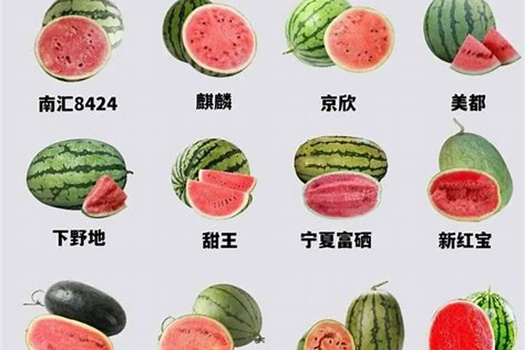 西瓜追肥用什么肥料 注意事项有哪些