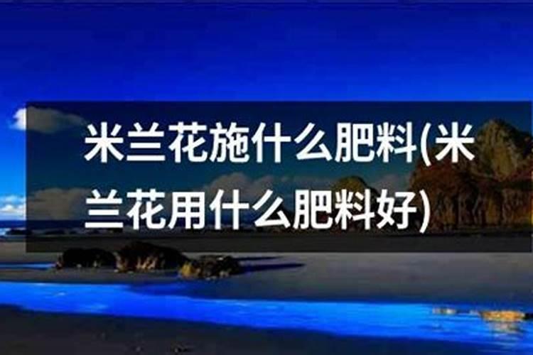 米兰花怎么浇水施肥,四季水肥管理及注意事项