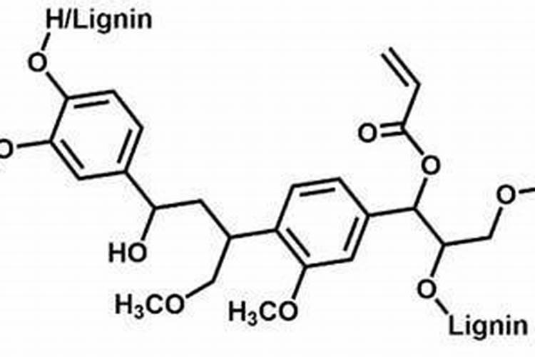 枯树叶怎样发酵成肥料？