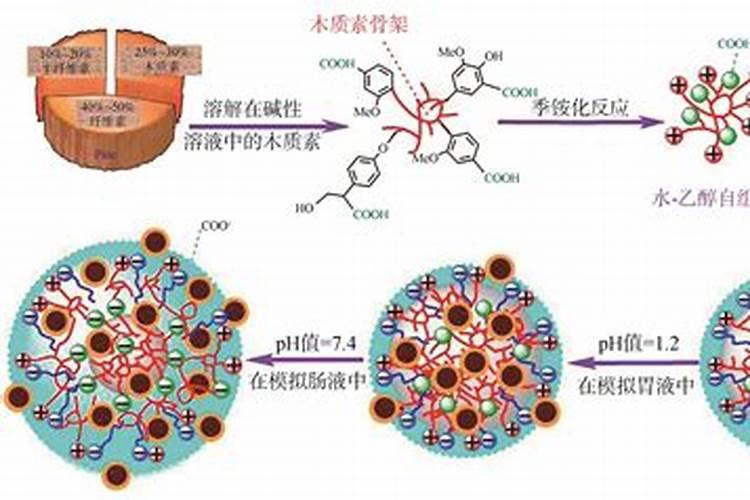 腐植酸水溶肥用在哪个时期效果更好