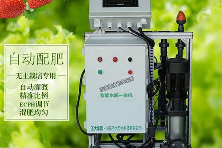 怎样进行西瓜的有机生态型无土栽培