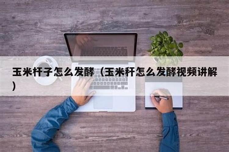 玉米水溶肥的使用方法