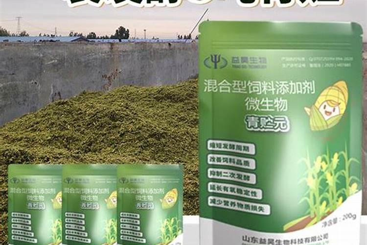 让玉米秸秆粗壮喷施什么叶面肥？