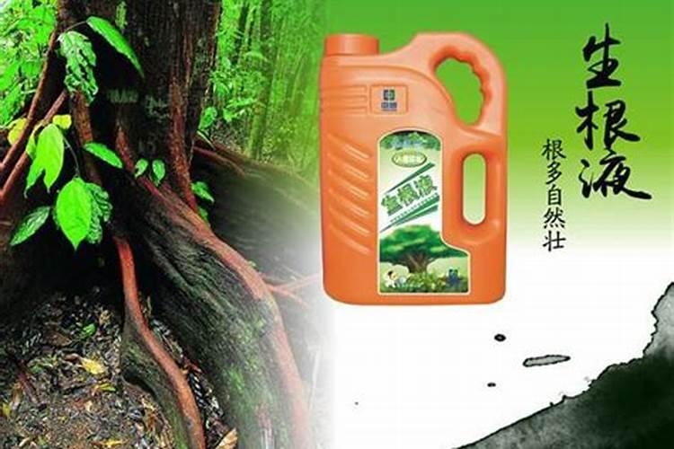 自制磷肥肥有哪些