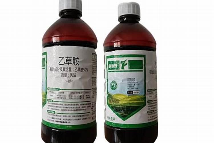 草莓用什么肥料果子又大又甜