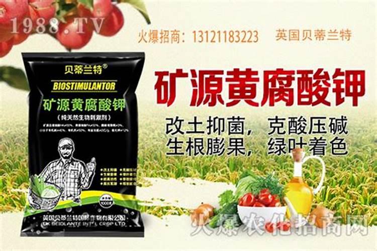 谷子用什么肥料的配比