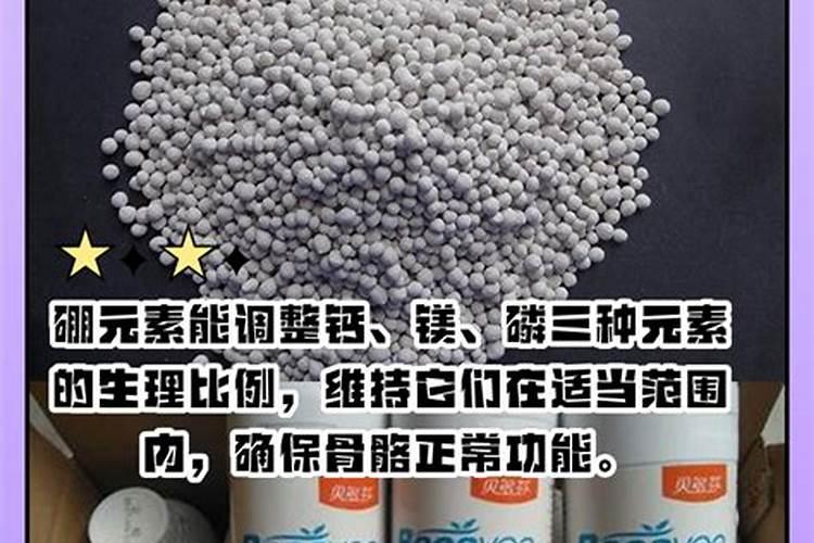 果树叶子发黄什么原因？