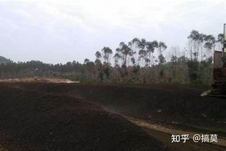 如何种植“牧草之王”紫花苜蓿？