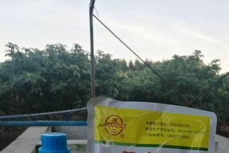 芸苔素打多了会怎么样,多效唑和芸苔素能一起喷吗