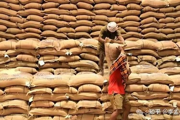 中国从哪些国家进口钾肥