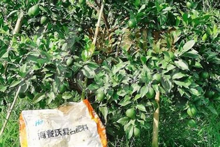 磷肥可以兑水浇吗