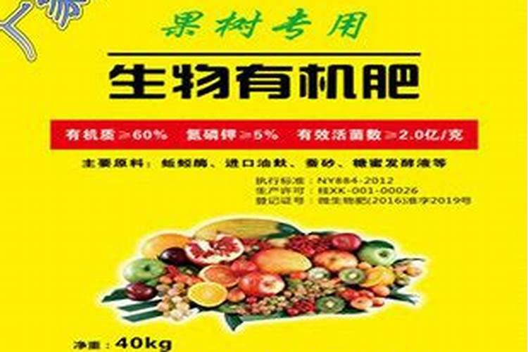 赣州会昌能种植火龙果吗