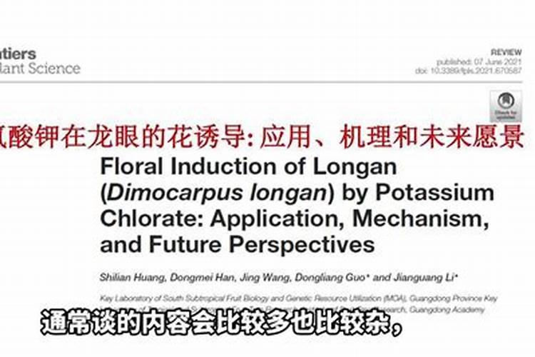 荔枝和龙眼树的养护方法