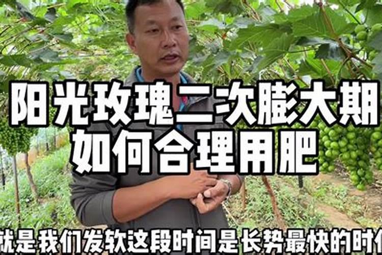 鱼的饲养养殖方法