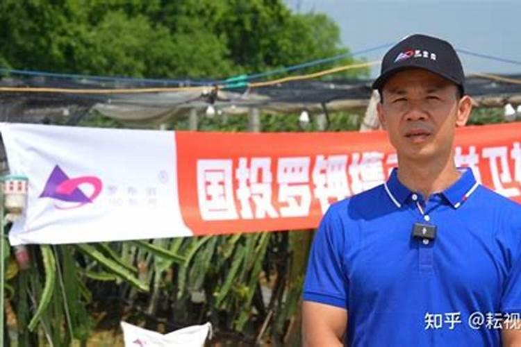 沙糖桔什么时候开花 一般几月份开放