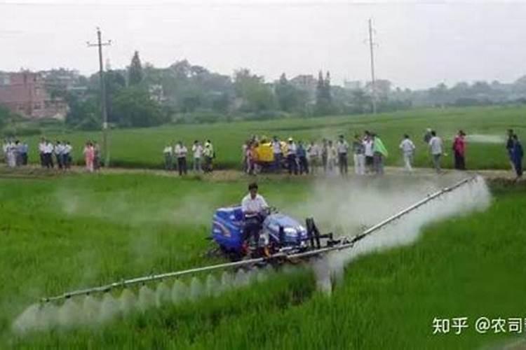 桔子落果是什么原因造成的