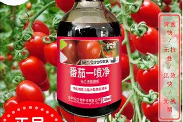 氨基酸肥料的功效与作用,氨基酸肥料和腐殖酸肥料有什么区别百度...