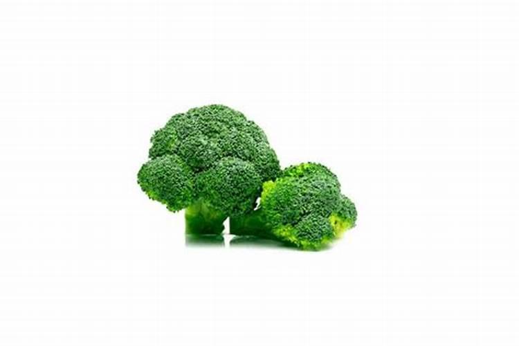 马铃薯淀粉十大品牌