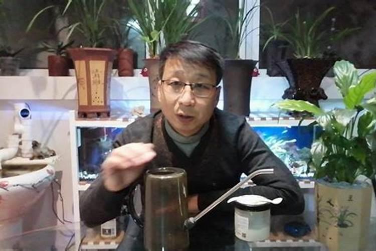 银虎斑患有贫血,在饮食上该怎么调理？