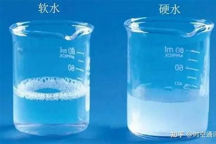 有几十斤重的大河豚鱼吗？