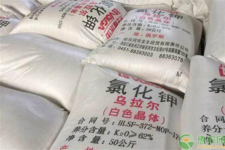 草莓如何施肥,自家种的草莓怎么管理？