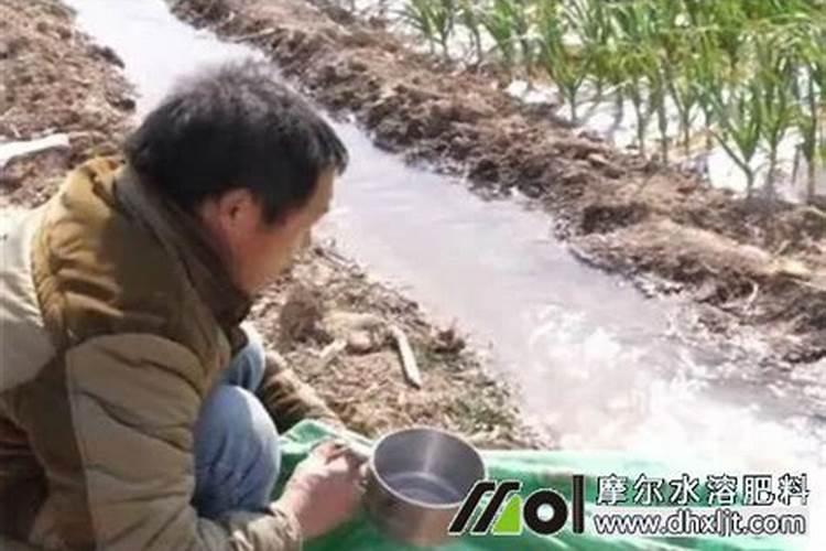罗汉果树追肥的方式有哪些？