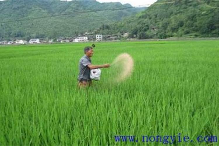 控释肥一次给多少